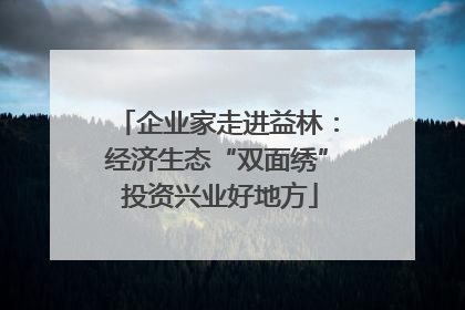 企业家走进益林：经济生态“双面绣” 投资兴业好地方