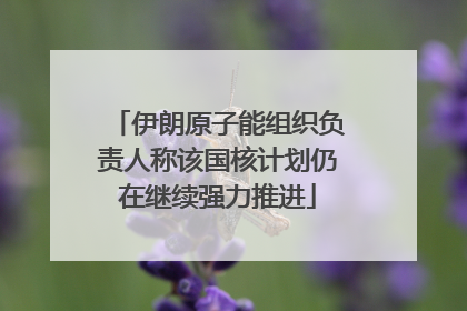 伊朗原子能组织负责人称该国核计划仍在继续强力推进
