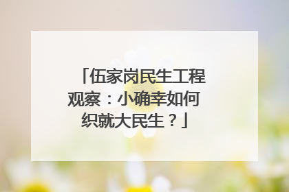 伍家岗民生工程观察：小确幸如何织就大民生？