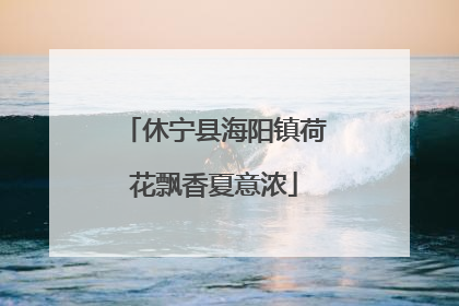 休宁县海阳镇荷花飘香夏意浓