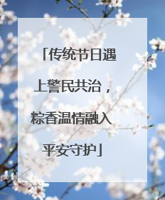 传统节日遇上警民共治，粽香温情融入平安守护