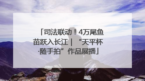 司法联动！4万尾鱼苗跃入长江｜“天平杯·随手拍”作品展播