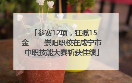 参赛12项，狂揽15金——崇阳职校在咸宁市中职技能大赛斩获佳绩