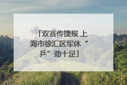 双赛传捷报 上海市徐汇区军休“乒”劲十足