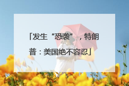 发生“恐袭”，特朗普：美国绝不容忍