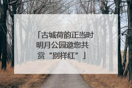 古城荷韵正当时 明月公园邀您共赏“别样红”