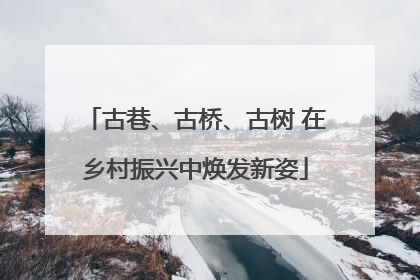 古巷、古桥、古树 在乡村振兴中焕发新姿