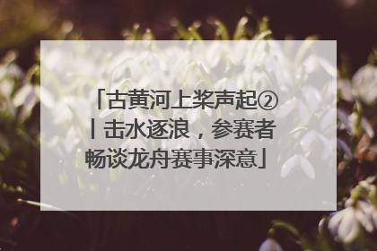 古黄河上桨声起②丨击水逐浪，参赛者畅谈龙舟赛事深意