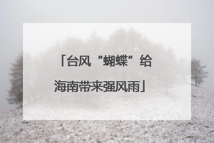 台风“蝴蝶”给海南带来强风雨