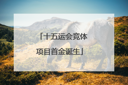 十五运会竞体项目首金诞生