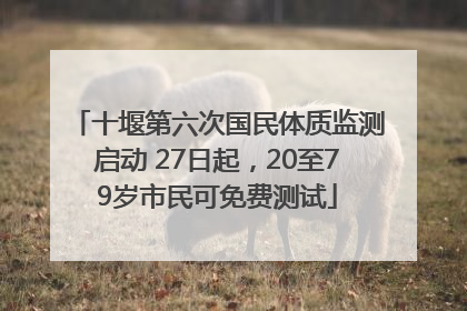 十堰第六次国民体质监测启动 27日起，20至79岁市民可免费测试