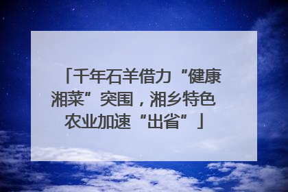 千年石羊借力“健康湘菜”突围，湘乡特色农业加速“出省”
