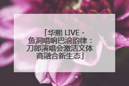 华熙 LIVE・鱼洞唱响巴渝韵律：刀郎演唱会激活文体商融合新生态