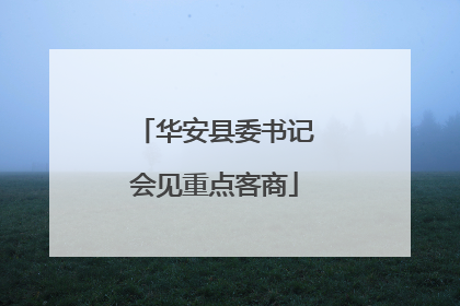华安县委书记会见重点客商