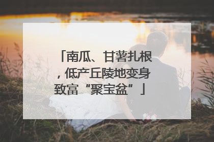 南瓜、甘薯扎根，低产丘陵地变身致富“聚宝盆”