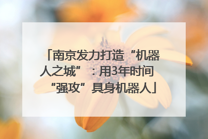 南京发力打造“机器人之城”：用3年时间“强攻”具身机器人
