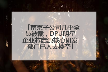南京子公司几乎全员被裁，DPU明星企业芯启源核心研发部门已人去楼空