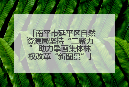 南平市延平区自然资源局坚持“三聚力” 助力擎画集体林权改革“新图景”