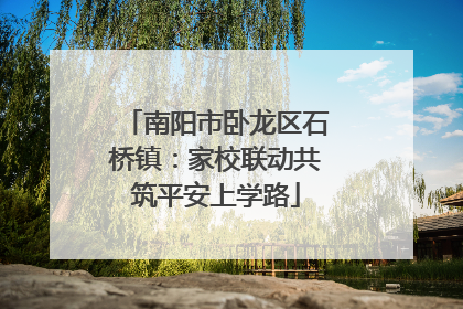 南阳市卧龙区石桥镇：家校联动共筑平安上学路