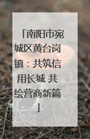 南阳市宛城区黄台岗镇：共筑信用长城 共绘营商新篇