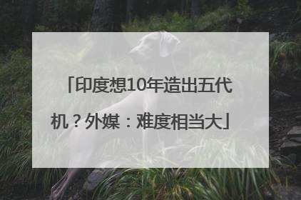 印度想10年造出五代机？外媒：难度相当大