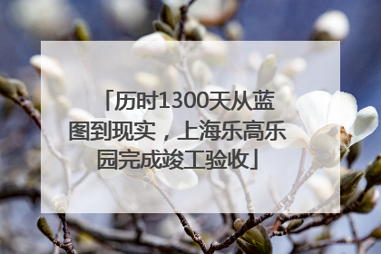 历时1300天从蓝图到现实，上海乐高乐园完成竣工验收