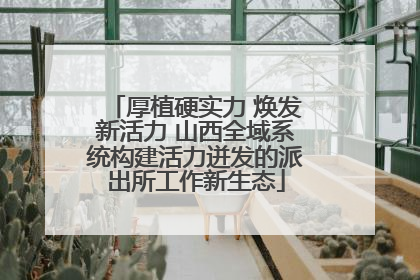 厚植硬实力 焕发新活力 山西全域系统构建活力迸发的派出所工作新生态
