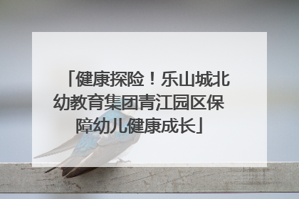 健康探险！乐山城北幼教育集团青江园区保障幼儿健康成长