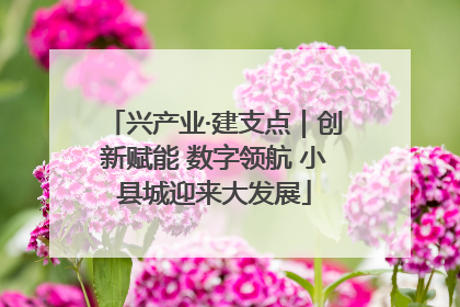 兴产业·建支点｜创新赋能 数字领航 小县城迎来大发展