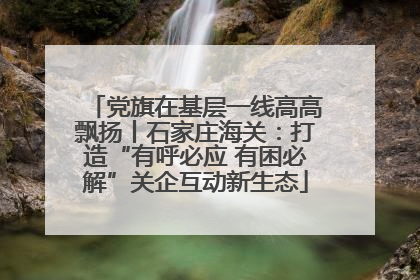 党旗在基层一线高高飘扬丨石家庄海关：打造“有呼必应 有困必解”关企互动新生态