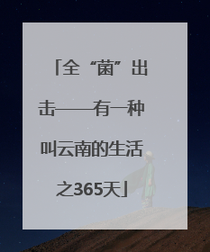全“菌”出击——有一种叫云南的生活之365天