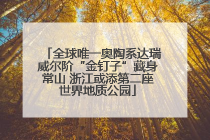 全球唯一奥陶系达瑞威尔阶“金钉子”藏身常山 浙江或添第二座世界地质公园