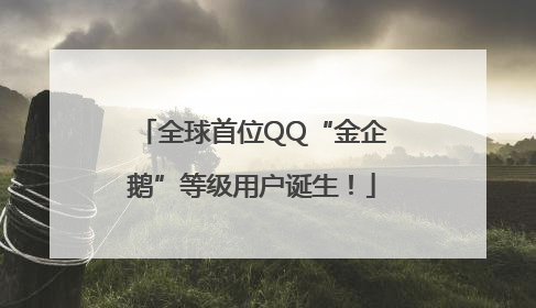 全球首位QQ“金企鹅”等级用户诞生！