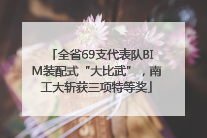 全省69支代表队BIM装配式“大比武”，南工大斩获三项特等奖