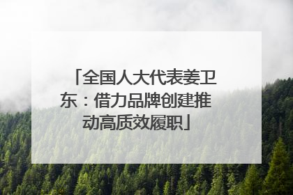 全国人大代表姜卫东：借力品牌创建推动高质效履职