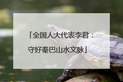 全国人大代表李君：守好秦巴山水文脉