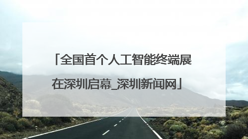 全国首个人工智能终端展在深圳启幕_深圳新闻网