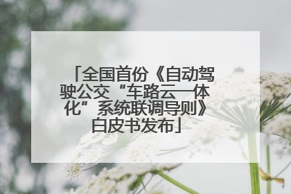 全国首份《自动驾驶公交“车路云一体化”系统联调导则》白皮书发布