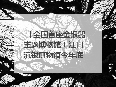 全国首座金银器主题博物馆！江口沉银博物馆今年底投入试运行｜万千气象看四川