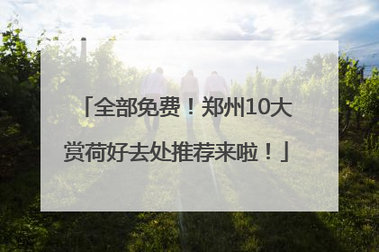 全部免费！郑州10大赏荷好去处推荐来啦！