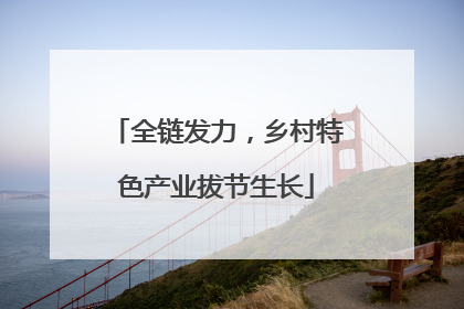 全链发力，乡村特色产业拔节生长