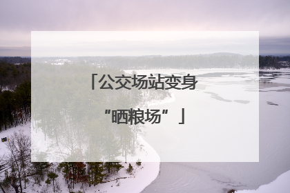 公交场站变身“晒粮场”