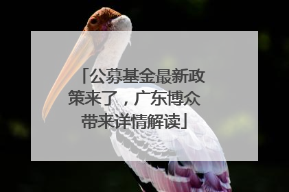 公募基金最新政策来了，广东博众带来详情解读