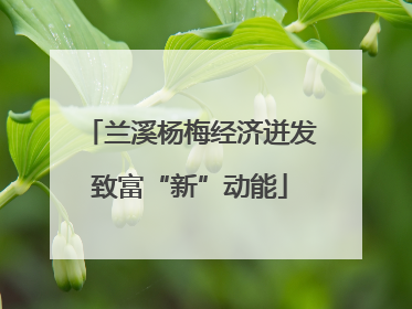 兰溪杨梅经济迸发致富“新”动能