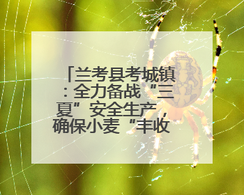 兰考县考城镇：全力备战“三夏”安全生产，确保小麦“丰收在仓”