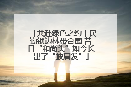 共赴绿色之约丨民勤锁边林带合围 昔日“和尚头”如今长出了“披肩发”