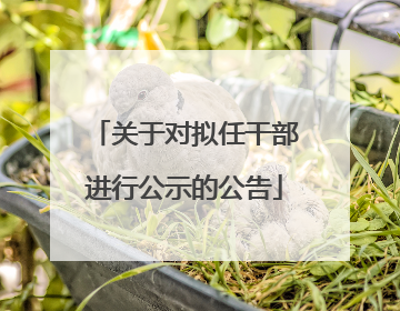关于对拟任干部进行公示的公告