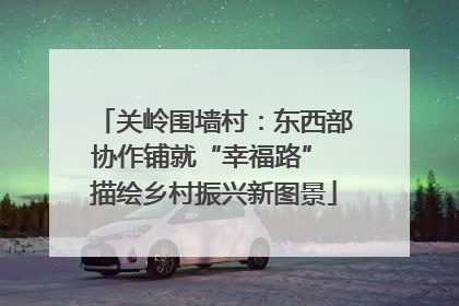 关岭围墙村：东西部协作铺就“幸福路” 描绘乡村振兴新图景
