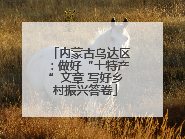 内蒙古乌达区：做好“土特产”文章 写好乡村振兴答卷