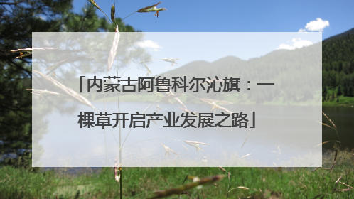 内蒙古阿鲁科尔沁旗：一棵草开启产业发展之路